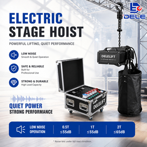 CE Certified Stage Electric Motor & Hoist Controller