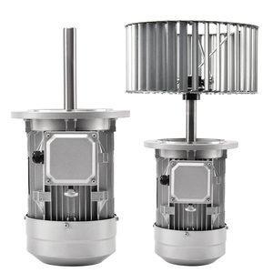KL-2200 2.2kW Long Shaft Flange Mount Motor