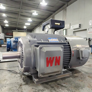 Wannan Electric TYCP Series Permanent Magnet Synchronous Motor