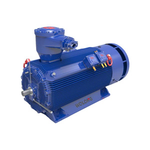 Nanyang YBX3 250KW High Voltage Flameproof Motor