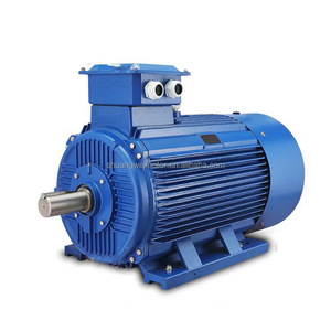 High Efficiency Three Phase Induction Motor