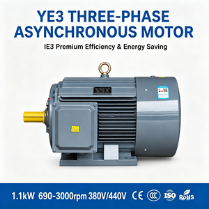 AC Induction Electric Motor 3phase Supplier