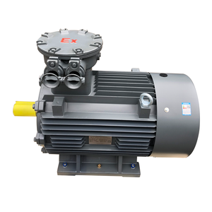 IE3 IE4 ExdIIBT4 Explosion proof AC Electric Motor