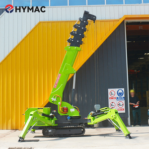 Electric Diesel Power Crawler 3t Mini Spider Crane Motor