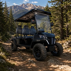 72V Lithium All-Terrain Electric Buggy Drive System