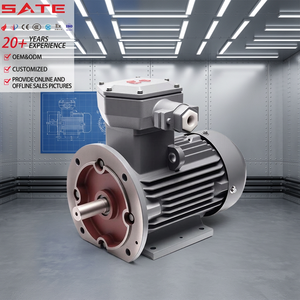 Low Vibration Exd IIAT4Gb Flameproof Motor